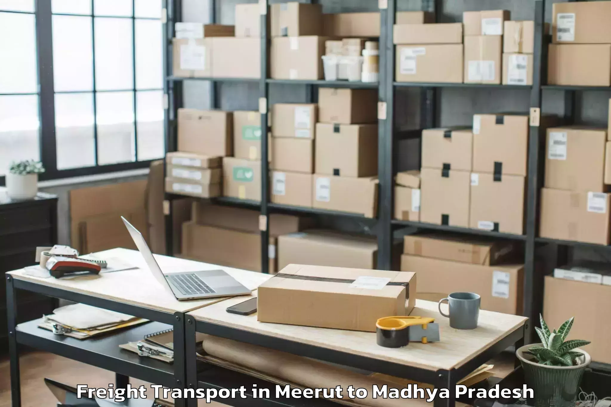 Quality Meerut to Dabra Pichhore Freight Transport